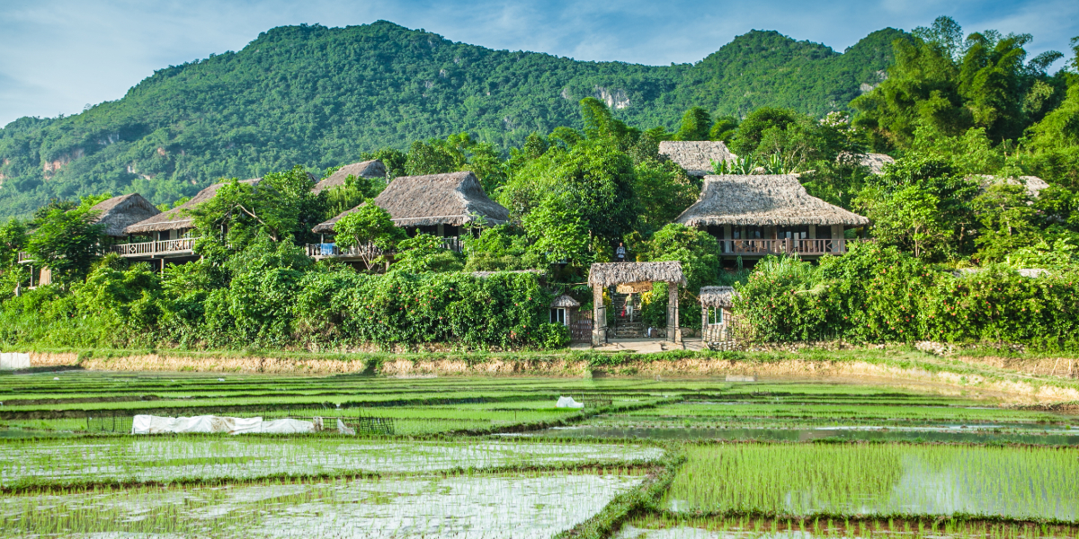 The Green culture circle of Ninh Binh - Hoa Binh